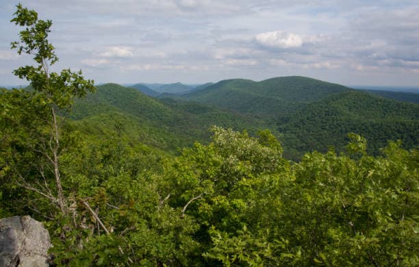 Timber, Trails, and Ouachita Mountain Life